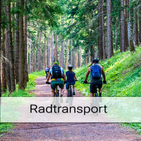 Aschauer Busreisen Radtransport